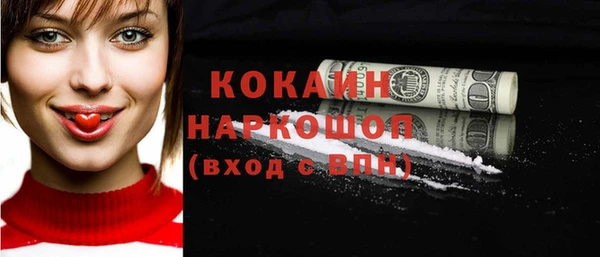 гидропоника Горняк