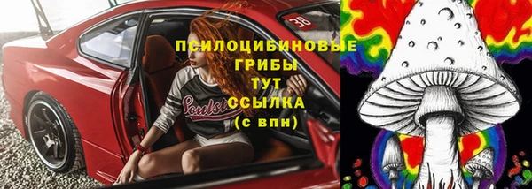 стаф Горно-Алтайск