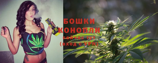 гидропоника Горняк